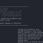 WPScan