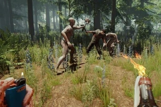 Sons of the Forest Mode Multiplayer