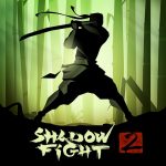 Shadow fighter 2