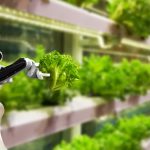 Tech in Agriculture