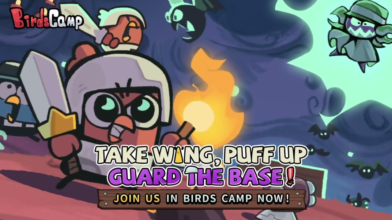 Birds Camp