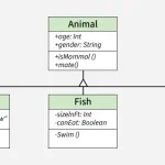 UML Diagrams